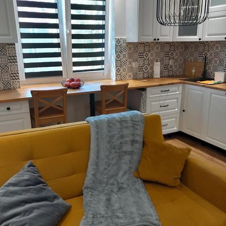Apartament "Konie I Anioly" Boguszów-Gorce المظهر الخارجي الصورة