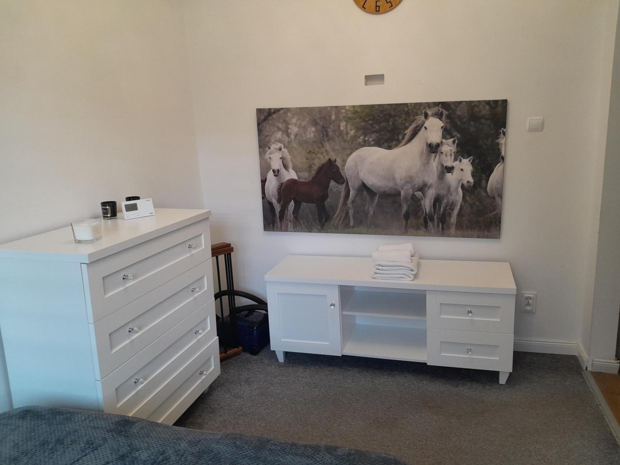 Apartament "Konie I Anioly" Boguszów-Gorce المظهر الخارجي الصورة